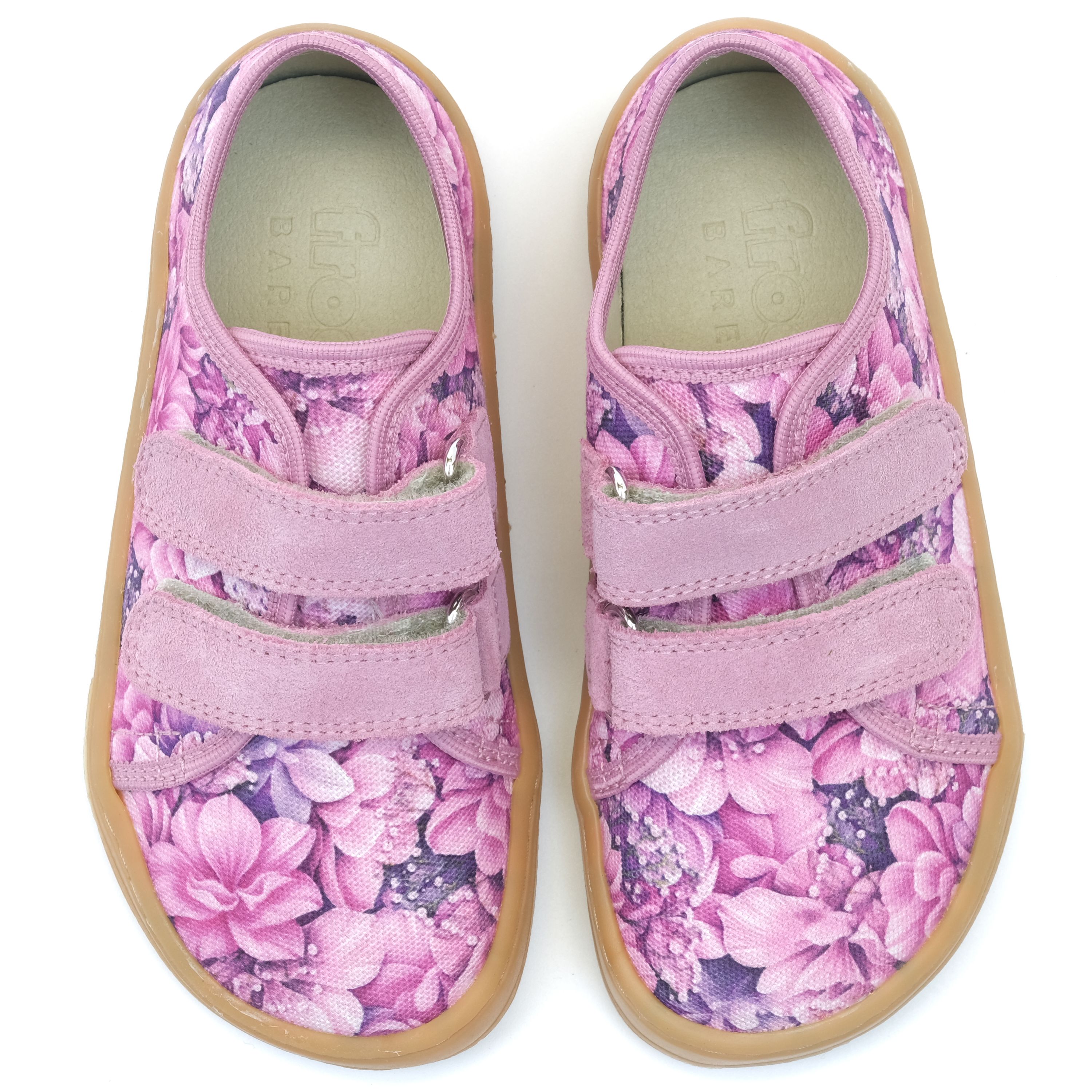 Froddo Canvas